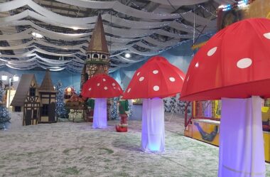 Evite Perrengues em família: 7 dicas para curtir eventos lotados sem estresse