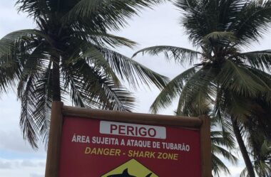 Onde se hospedar de forma segura e confortável em Recife para relaxar e desfrutar de momentos tranquilos com a família 