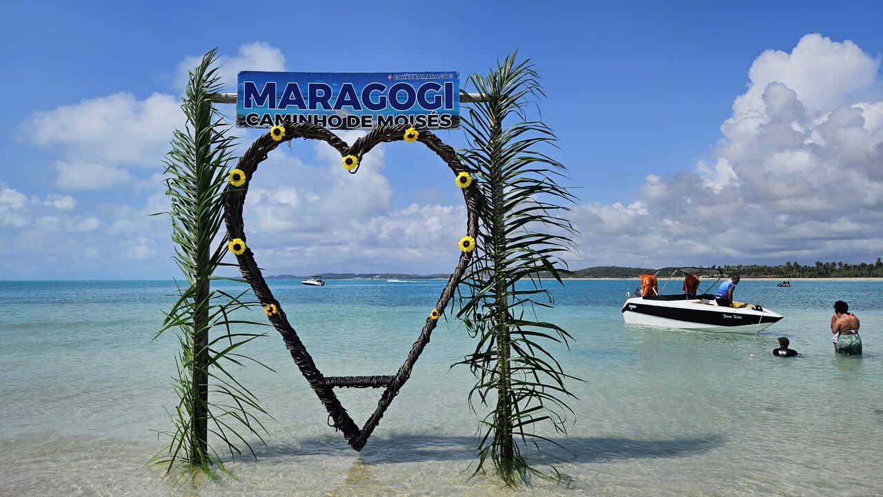 o que esperar de maragogi